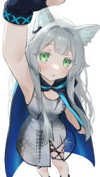 Rule 34 | 1girl, absurdres, animal ear fluff, animal ears, arknights, arm up, armpits, black cloak, black gloves, cat ears, cat girl, cloak, collarbone, dress, earpiece, fingerless gloves, gloves, green eyes, grey dress, grey hair, highres, hood, hood down, hooded cloak, infection monitor (arknights), looking at viewer, oemmnn, rosmontis (arknights), simple background, sleeveless, sleeveless dress, solo, triangle mouth, white background