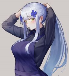 Rule 34 | 1girl, 3 small spiders, apron, commentary request, facial mark, from side, girls&#039; frontline, green eyes, grey background, hair tie in mouth, highres, hk416 (girls&#039; frontline), long hair, long sleeves, mouth hold, ponytail, purple apron, sidelocks, simple background, solo, teardrop facial mark, tying hair, upper body, white hair