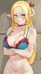 Rule 34 | 1girl, 2024, arms under breasts, bare arms, bare shoulders, blonde hair, blue bra, bottomless, bra, braid, breasts, bright pupils, choker, closed mouth, collarbone, crossed arms, damobelmont, dungeon meshi, elf, green eyes, groin, hair ribbon, highres, large breasts, light blush, light frown, long hair, long pointy ears, looking at viewer, low twin braids, marcille donato, navel, out-of-frame censoring, pointy ears, red choker, red ribbon, ribbon, signature, solo, stomach, twin braids, underwear, upper body, very long hair, white pupils