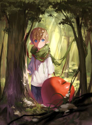 Rule 34 | 1boy, apple, bad id, bad pixiv id, blonde hair, blue eyes, blurry, depth of field, elf, fantasy, food, forest, fruit, grass, green scarf, highres, looking at viewer, male focus, mushroom, nature, original, oversized object, pants, plant, pointy ears, scarf, shirt, short sleeves, solo, sunlight, tree, vines, xiao zhangyu