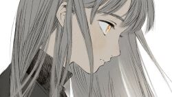 Rule 34 | 1girl, aged down, blush, child, dungeon meshi, eyelashes, falin touden, frs2, grey hair, long hair, looking ahead, orange eyes, parted lips, portrait, profile, simple background, solo, unusually open eyes, white background