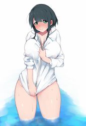 Rule 34 | 1girl, black hair, blush, borrowed character, bottomless, breasts, butsu menhou, cleavage, closed mouth, covered erect nipples, female pubic hair, full-face blush, green eyes, hood, hooded jacket, hoodie, huge breasts, jacket, looking at viewer, nose blush, original, pubic hair, pubic hair peek, sawada manami, shirt tug, short hair, solo, standing, sweat, wading