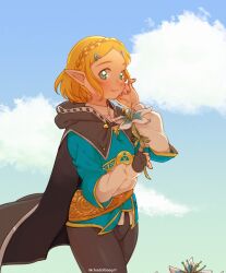 Rule 34 | 1girl, artist name, blonde hair, blue eyes, blue sky, blush, braid, cape, chadolbaegi, cloud, commentary, cowboy shot, day, english commentary, fingerless gloves, flower, french braid, gloves, green eyes, hair ornament, hairclip, hand on own cheek, hand on own face, highres, holding, holding flower, hood, hooded cape, jewelry, looking at viewer, nintendo, outdoors, pointy ears, princess zelda, short hair, sidelocks, sky, smile, solo, the legend of zelda, the legend of zelda: breath of the wild