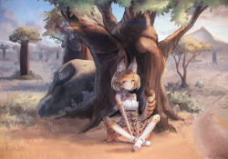 Rule 34 | 10s, 1girl, animal ears, blonde hair, blush, bow, bowtie, cloud, day, full body, grass, highres, kemono friends, nature, outdoors, rock, savannah, serval (kemono friends), serval print, serval tail, short hair, sitting, sky, smile, solo, tail, tree, yellow eyes, yudough
