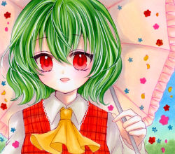 Rule 34 | 1girl, ascot, blue flower, blue sky, blush, breasts, collared shirt, commentary request, eyelashes, eyes visible through hair, flower, grass, green hair, grey shirt, hair between eyes, hand up, highres, holding, holding umbrella, juliet sleeves, kazami yuuka, long sleeves, looking at viewer, marker (medium), medium breasts, open mouth, petals, pink flower, plaid, plaid vest, puffy sleeves, red vest, shirt, short hair, sky, smile, solo, touhou, traditional media, umbrella, upper body, vest, yellow ascot, yellow flower, yuuki hana (jtnp5334)