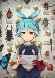 Rule 34 | 1boy, :|, absurdres, antenna hair, beetle, blue butterfly, blue eyes, blue hair, blue vest, bug, butterfly, character name, closed mouth, dragonfly, expressionless, heterochromia, highres, holding, bug, ladybug, looking at viewer, male focus, nara shizuku, pin, puyopuyo, red eyes, rhinoceros beetle, shadow, shirt, short sleeves, sig (puyopuyo), solo, stag beetle, translated, twitter username, upper body, vest, wasp