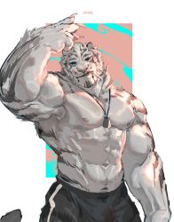 Rule 34 | 1boy, abs, alternate costume, animal ears, arknights, arm up, armpits, bara, biceps, black pants, bulge, cowboy shot, dog tags, furry, furry male, highres, large pectorals, male focus, mountain (arknights), muscular, muscular male, navel, nipples, pants, pectorals, scar, scar across eye, scar on face, topless male, short hair, sketch, solo, tiger boy, tiger ears, tiger stripes, track pants, white fur, wincalblanke