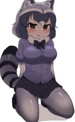 Rule 34 | 1girl, animal ears, arms behind back, black bow, blush, bow, breasts, brown eyes, chis (js60216), common raccoon (kemono friends), fang, full body, fur collar, grey hair, highres, kemono friends, kneeling, large breasts, long sleeves, looking at viewer, multicolored hair, open mouth, pantyhose, pleated skirt, puffy short sleeves, puffy sleeves, raccoon ears, raccoon girl, raccoon tail, short-sleeved sweater, short hair, short sleeves, simple background, skirt, solo, striped tail, sweater, tail, white background