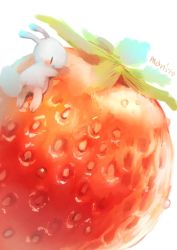 Rule 34 | animal, bad id, bad pixiv id, commentary request, food, food focus, fruit, highres, manino (mofuritaionaka), no humans, original, oversized food, oversized object, rabbit, signature, simple background, strawberry, white background