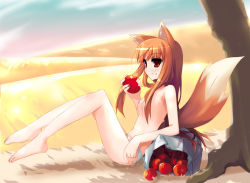 Rule 34 | 00s, 1girl, animal ears, apple, barefoot, breasts, brown hair, day, fang, field, food, fruit, holding, holding food, holding fruit, holo, long hair, nipples, panties, red eyes, shin (new), sitting, sky, small breasts, solo, spice and wolf, tail, topless, underwear, wolf ears, wolf tail