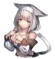 Rule 34 | 10s, 1girl, animal ears, bad id, bad twitter id, blush, breasts, brown eyes, cat ears, cat girl, cat tail, cleavage, detached sleeves, facial mark, final fantasy, final fantasy xiv, grey hair, hairband, haru akinosuke, large breasts, looking at viewer, miqo&#039;te, sad, shiny skin, short hair, simple background, sketch, solo, tail, warrior of light (ff14), white background