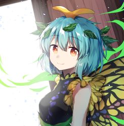 Rule 34 | 1girl, antennae, bare arms, bare shoulders, blue hair, breasts, butterfly wings, commentary request, dress, eternity larva, insect wings, kaoling, leaf, leaf on head, looking at viewer, medium breasts, orange eyes, short hair, smile, solo, touhou, upper body, wings