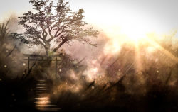 Rule 34 | akyuun, backlighting, forest, highres, landscape, lens flare, light particles, light rays, nature, no humans, outdoors, scenery, sky, stairs, sunlight, torii, tree