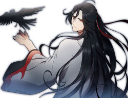 Rule 34 | 1boy, alternate costume, beaugi, bird, black hair, crow, hair between eyes, highres, looking at viewer, male focus, modao zushi, red eyes, robe, simple background, solo, upper body, wei wuxian, white background, white robe, wide sleeves