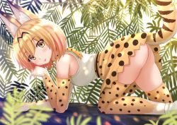 Rule 34 | 10s, 1girl, :p, all fours, animal ears, ass, bare shoulders, belt, blonde hair, blush, breasts, brown dress, closed mouth, dress, elbow gloves, female focus, from side, gloves, high-waist skirt, highres, kazenokaze, kemono friends, leaf, legs apart, looking at viewer, medium breasts, miniskirt, no panties, plant, serval (kemono friends), serval print, serval tail, shirt, shoes, short dress, short hair, skirt, sleeveless, sleeveless shirt, small breasts, smile, solo, tail, thighhighs, tongue, tongue out, white footwear, white gloves, white shirt, yellow eyes, yellow gloves