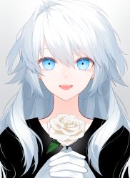 Rule 34 | 1boy, ayashiro keika, blue eyes, commentary request, flower, gloves, hair between eyes, highres, holding, holding flower, long hair, looking at viewer, open mouth, original, rose, solo, teeth, tongue, trap, waka (shark waka), white flower, white hair, white rose