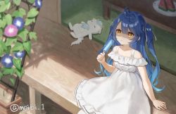 Rule 34 | 1girl, ahoge, amamiya kokoro, blue hair, collarbone, commentary request, commission, dress, food, hair ribbon, holding, holding food, looking afar, meibi 1, nijisanji, off-shoulder dress, off shoulder, parted lips, plate, popsicle, ribbon, shade, sitting, skeb commission, solo, stuffed animal, stuffed toy, table, trellis, twitter username, two side up, virtual youtuber, watermelon, watermelon slice, white dress, white ribbon, yellow eyes