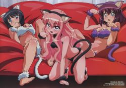 Rule 34 | 00s, 3girls, :3, absurdres, animal ears, barefoot, blush, bra, breasts, cat ears, cat tail, feet, fujii masahiro, full body, henrietta de tristain, highres, large breasts, lingerie, long hair, louise francoise le blanc de la valliere, megami magazine, midriff, multiple girls, official art, panties, paw pose, pink eyes, pink hair, scan, short hair, siesta (zero no tsukaima), small breasts, tail, toes, underboob, underwear, underwear only, zero no tsukaima