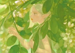 Rule 34 | 1girl, bad id, bad twitter id, bare shoulders, closed mouth, elf, expressionless, from side, green hair, green theme, leaf, lips, minju shim, nature, nose, plant, pointy ears, profile, shim minju, solo, swept bangs, upper body, wings