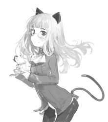 Rule 34 | 1girl, animal ears, ascot, bad id, bad twitter id, blunt bangs, blush, cat ears, cat tail, cup, glasses, greyscale, kylin, long hair, long sleeves, military, military uniform, monochrome, pantyhose, perrine h. clostermann, simple background, solo, strike witches, tail, teacup, uniform, white background, world witches series