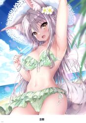 Rule 34 | 1girl, absurdres, animal ear fluff, animal ears, arm up, armpits, artist name, bikini, blue sky, blush, breasts, brown eyes, cleavage, cloud, cloudy sky, collarbone, day, fang, flower, food, fox ears, fox tail, hair flower, hair ornament, hat, highres, holding, holding food, layered bikini, light brown hair, long hair, looking at viewer, medium breasts, melonbooks, ocean, open mouth, outdoors, page number, popsicle, scan, simple background, sky, smile, solo, swimsuit, tail, tateha (marvelous grace), thighs, water