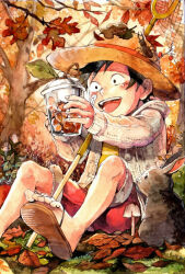Rule 34 | 1boy, acorn, aged down, autumn, autumn leaves, bandaid, black hair, butterfly net, facial scar, hand net, hat, holding, jacket, leaf, looking at object, luzy, male focus, monkey d. luffy, mushroom, on ground, one piece, open mouth, outdoors, painting (medium), rabbit, red shorts, sandals, scar, scar on cheek, scar on face, shirt, short hair, shorts, sitting, smile, stag beetle, straw hat, teeth, third-party source, tongue, traditional media, watercolor (medium), white jacket, yellow shirt