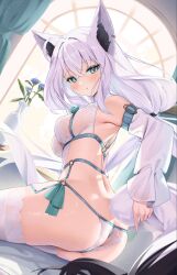 Rule 34 | 1girl, ahoge, alternate costume, animal ear fluff, animal ear piercing, animal ears, ass, blush, bra, breasts, crossed bangs, curtains, detached sleeves, double-parted bangs, flower, fox ears, fox girl, fox tail, from side, green eyes, hair between eyes, hashtag-only commentary, highres, hino kagutsuki, holding own tail, hololive, indoors, lace, lace-trimmed thighhighs, lace bra, lace panties, lingerie, long hair, looking at viewer, low ponytail, medium breasts, o-ring, o-ring bottom, o-ring panties, o-ring top, panties, pout, shirakami fubuki, sideboob, sitting, sleeves past wrists, solo, string panties, tail, thighhighs, underwear, very long hair, virtual youtuber, white hair, white panties, white thighhighs, window