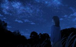 Rule 34 | 1girl, anyotete, black hair, blue hoodie, blurry, commentary, cowboy shot, depth of field, english commentary, from behind, grass, highres, hood, hoodie, long hair, long sleeves, looking up, night, night sky, open mouth, original, outdoors, scenery, silhouette, sky, solo, standing, star (sky), starry sky, tree, wide shot
