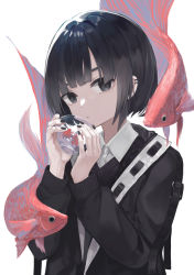 Rule 34 | 1girl, animal, animal request, black hair, black jacket, black nails, bowl, closed mouth, collared shirt, commentary request, dress shirt, ear piercing, eyebrows hidden by hair, fish, fish request, grey eyes, hands up, highres, holding, holding bowl, jacket, long sleeves, looking at viewer, nail polish, ogami ren, open clothes, open jacket, original, piercing, shirt, short hair, simple background, solo, sweater vest, thick eyebrows, upper body, white background, white shirt
