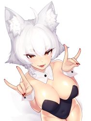 Rule 34 | 1girl, ahoge, animal ear fluff, animal ears, bare shoulders, blue leotard, blush, braid, breasts, brown eyes, cleavage, covered navel, detached collar, dev (dev0614), double fox shadow puppet, fox ears, fox shadow puppet, fox tail, highres, large breasts, leotard, looking at viewer, multiple tails, nail polish, nontraditional playboy bunny, open mouth, original, playboy bunny, red nails, solo, tail, thick eyebrows, transparent background, white hair, wrist cuffs