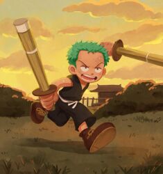 Rule 34 | 1boy, aged down, black eyes, child, cloud, commentary request, dual wielding, full body, grass, green hair, highres, holding, holding sword, holding weapon, male focus, oekakiboya, one piece, open mouth, outdoors, roronoa zoro, shinai, short hair, sky, solo, sword, teeth, weapon