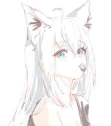 Rule 34 | 1girl, ahoge, animal ear fluff, animal ears, aqua eyes, bare shoulders, braid, collarbone, crossed bangs, double-parted bangs, extra ears, fox ears, fox girl, highres, hololive, hyde (tabakko), long hair, looking at viewer, loose clothes, loose shirt, shirakami fubuki, shirakami fubuki (loungewear), shirt, side braid, sidelocks, simple background, single braid, sketch, solo, virtual youtuber, white background, white hair
