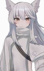 Rule 34 | 1girl, absurdres, animal ear fluff, animal ears, arknights, blush, brown eyes, closed mouth, grey hair, high collar, highres, horse ears, issei draw, long hair, long sleeves, looking at viewer, platinum (arknights), shoulder strap, sidelocks, simple background, solo, upper body, very long hair, white background