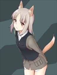 Rule 34 | 10s, 1girl, animal ears, blush, brave witches, brown eyes, covering privates, covering ass, edytha rossmann, fox ears, fox tail, looking at viewer, military, military uniform, momiji7728, short hair, silver hair, simple background, solo, strike witches, tail, uniform, vest, wavy mouth, world witches series