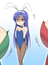 Rule 34 | 3girls, animal ears, bad id, bad pixiv id, bare shoulders, bow, bowtie, breast envy, breasts, cleavage, covered navel, detached collar, fake animal ears, fishnet pantyhose, fishnets, idolmaster, idolmaster (classic), kisaragi chihaya, leotard, long hair, multiple girls, navel, nedia (nedia region), pantyhose, playboy bunny, rabbit ears, rabbit tail, shaded face, small breasts, tail, wrist cuffs