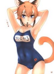 Rule 34 | 1girl, :&lt;, animal ears, armpits, arms behind head, arms up, bad id, bad pixiv id, black hair, blue eyes, blue one-piece swimsuit, breasts, caracal (kemono friends), cleavage, collarbone, commentary, covered navel, cowboy shot, extra ears, hair between eyes, hair tie in mouth, hair up, highres, japari symbol, kemono friends, looking at viewer, medium breasts, mouth hold, name tag, one-piece swimsuit, orange hair, school swimsuit, simple background, solo, swimsuit, tail, thin (suzuneya), translated, tying hair, white background