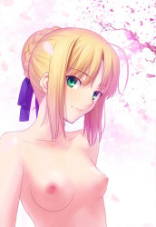 Rule 34 | 1girl, ahoge, artoria pendragon (all), artoria pendragon (fate), blonde hair, breasts, cherry blossoms, fate/stay night, fate (series), female focus, green eyes, hair bun, hair ribbon, looking at viewer, nipples, nude, nude filter, ribbon, saber (fate), short hair, small breasts, smile, solo, takeuchi takashi, third-party edit, tree, upper body