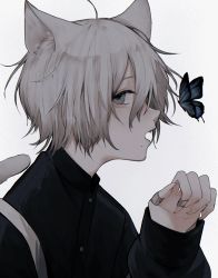 Rule 34 | 1boy, 402 (o0 xxx), absurdres, animal ears, black theme, blue butterfly, bracelet, bug, butterfly, cat boy, cat ears, cat tail, crazy, facing to the side, grey eyes, highres, insect, jewelry, looking at viewer, male focus, mole, mole on neck, mole under eye, open mouth, original, short hair, solo, tail, white background, white hair, white theme, yami kawaii