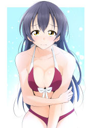 Rule 34 | 1girl, absurdres, between legs, bikini, blush, breasts, cleavage, collarbone, commentary request, covering privates, cowboy shot, embarrassed, grey hair, hair between eyes, hand between legs, highres, kirisaki reina, long hair, looking at viewer, love live!, love live! school idol festival, love live! school idol project, medium breasts, red bikini, simple background, solo, sonoda umi, swimsuit, yellow eyes
