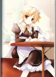Rule 34 | bird, blonde hair, brown eyes, highres, maid, pantyhose, saucer, solo, table, tagme, white bird