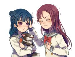 Rule 34 | 2girls, animal, anko (love live! sunshine!!), beniko08, blue hair, blush, bow, bowtie, buttons, closed eyes, commentary request, dog, double-breasted, hair bun, half updo, hand on another&#039;s head, hand on own chest, headpat, highres, holding, holding animal, holding dog, long hair, long sleeves, love live!, love live! sunshine!!, multiple girls, purple eyes, red hair, red neckwear, sakurauchi riko, side bun, simple background, single side bun, trembling, tsushima yoshiko, upper body, v-shaped eyebrows, wavy mouth, white background