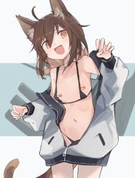 Rule 34 | 1girl, :d, ahoge, animal ear fluff, animal ears, bandaid, bandaids on nipples, bare shoulders, bikini, black bikini, brown eyes, brown hair, cat ears, cat tail, claw pose, collarbone, commission, cowboy shot, fang, flat chest, hair between eyes, hair ornament, hairclip, highres, hood, hoodie, ikazuchi (kancolle), jacket, kantai collection, kemonomimi mode, medium hair, micro bikini, midriff, mikozin, navel, off shoulder, open clothes, open jacket, open mouth, pasties, simple background, skeb commission, skin fang, sleeve cuffs, smile, solo, swimsuit, tail, white hoodie