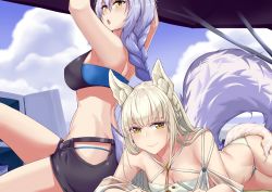 Rule 34 | 2girls, animal ear fluff, animal ears, arknights, arms up, bare shoulders, bikini, black bikini, blue sky, braid, breasts, cleavage, cloud, commentary request, criss-cross halter, day, hair between eyes, halterneck, hip vent, hpapo, large tail, long hair, looking at viewer, multiple girls, official alternate costume, open mouth, outdoors, platinum (arknights), platinum (shimmering dew) (arknights), provence (arknights), provence (casual vacation) (arknights), purple hair, silver hair, sky, swimsuit, tail, thighs, white bikini, wolf tail, yellow eyes