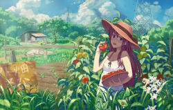 Rule 34 | 1girl, animal, basket, bow, brown eyes, brown hair, bug, building, cloud, day, dirt, dog, dress, farm, fence, field, flower, food, grass, hat, hat ribbon, head tilt, holding, holding food, insect, ladybug, long hair, looking at viewer, m george, open mouth, original, outdoors, path, plant, purple hair, ribbon, road, sign, sky, sleeveless, sleeveless dress, solo, spaghetti strap, sun hat, sundress, sunlight, tomato, translation request, transmission tower, tree, vegetable, white dress
