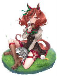 Rule 34 | 1girl, animal, animal ears, black dress, blush, boots, bow, bowtie, brown footwear, brown hair, cat, clothes writing, dress, finger to mouth, hattori masaki, highres, horse ears, horse girl, horse tail, index finger raised, juliet sleeves, knee boots, long hair, long sleeves, nice nature (umamusume), parted lips, puffy sleeves, red hair, shirt, shushing, solo, striped bow, striped bowtie, striped clothes, striped neckwear, tail, two side up, umamusume, white shirt, yellow eyes