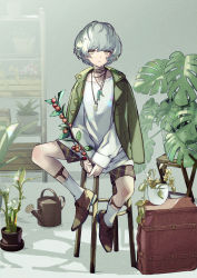 Rule 34 | 1girl, alchemy stars, bamboo, branch, brown footwear, closed mouth, commentary request, formal, full body, green eyes, green jacket, grey hair, highres, holding, holding branch, jacket, jacket on shoulders, jewelry, legwear garter, long sleeves, looking at viewer, necklace, oxfords, plaid, plaid shorts, plant, potted plant, shadow, shelf, shirt, shoes, short hair, shorts, sitting, socks, solo, stool, suit, sylva (alchemy stars), watering can, white shirt, white socks, yoruhachi