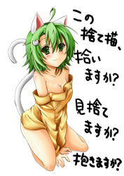Rule 34 | 1girl, ahoge, animal ears, blush, breasts, cat ears, cat tail, cleavage, dodome-iro mayonnaise, green eyes, green hair, matching hair/eyes, original, simple background, smile, solo, tail, text focus, translation request, white background
