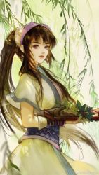 Rule 34 | 1girl, armband, artist request, brown hair, chinese clothes, closed mouth, duanmu rong (qin shi ming yue), from side, hairband, herb, highres, leaf, long hair, looking at viewer, plate, ponytail, purple eyes, qinshi mingyue, second-party source, short sleeves, sidelocks, solo, upper body