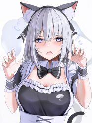 Rule 34 | 1girl, 258n, absurdres, animal ears, black dress, blue eyes, blush, breasts, cat ears, cat tail, dress, grey hair, highres, hitodama, konpaku youmu, konpaku youmu (ghost), looking at viewer, open mouth, short hair, simple background, small breasts, solo, tail, touhou, upper body, white background, wrist cuffs
