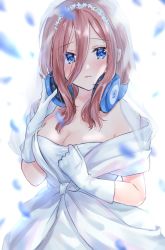 Rule 34 | 1girl, adjusting headphones, bad id, bad twitter id, blue eyes, blush, breasts, bridal veil, brown hair, cleavage, commentary request, dress, elbow gloves, gloves, go-toubun no hanayome, hair between eyes, hairband, headphones, headphones around neck, highres, large breasts, long hair, looking at viewer, medium breasts, minori 748, nakano miku, parted lips, petals, solo, stole, strapless, strapless dress, veil, wedding dress, white dress, white gloves